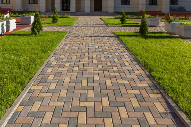 Best Local Driveway Pavers  in Devine, TX